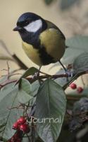 Journal: A5 5x 8 126 page Dot bullet journal, diary with a little bird on a branch with red berries on the cover 1098932250 Book Cover