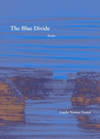 The Blue Divide 1936970384 Book Cover