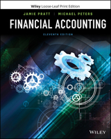 Financial Accounting in an Economic Context 0471655287 Book Cover