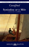 Syniadau ar y Môr: Casgliad o Gerddi (Welsh Edition) 1917237731 Book Cover