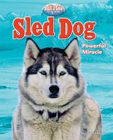 Sled Dog: Powerful Miracle 1617721344 Book Cover