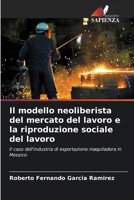 Il modello neoliberista del mercato del lavoro e la riproduzione sociale del lavoro 6206849678 Book Cover