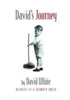 David's Journey: memoirs of a chimney sweep 1912183544 Book Cover