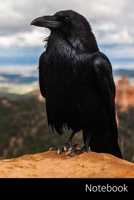 Notebook: Corvo, Corvo, Uccello, Nero taccuino / agenda / quaderno delle annotazioni / diario / libro di scrittura / carnet / zibaldone - 6 x 9 ... x 22,86 cm), 110 pagine, superficie lucida. 1712927280 Book Cover