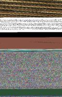 A Dog Named Nekkid 0967988500 Book Cover