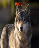 Wolf: Beautiful Pictures & Interesting Facts Children Book About Wolf B08M83X4LF Book Cover