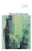Nachtkind (German Edition) 3769351827 Book Cover