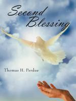 Second Blessing 146343698X Book Cover