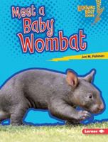 Meet a Baby Wombat 151243387X Book Cover