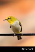 Notebook: Schwan, Vogel, See Notizbuch / pers�nliches Tagebuch / Schreibheft / Logbuch / Planer / Vokabelheft / Notizen - 6 x 9 Zoll (15,24 x 22,86 cm, ca. DIN A5), 110 linierte Seiten mit Datumslinie 1706140738 Book Cover