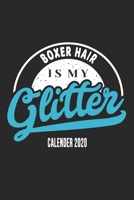 Boxer Hair Is My Glitter Calender 2020: Funny Cool Boxer Dog Calender 2020 Monthly & Weekly Planner - 6x9 - 128 Pages. Cute Gift For All Dog Moms, Mothers, New Pet Owners, Enthusiasts, Fans And Lovers 1677489138 Book Cover