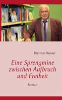 Eine Sprengmine zwischen Aufbruch und Freiheit: Roman 3848223589 Book Cover