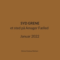Syd Grene: et sted på Amager Fælled Januar 2022 8743049567 Book Cover
