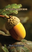 Soulful Sojourns 9916854823 Book Cover
