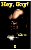 Hey Gay! 2 (German Edition) 3384044614 Book Cover