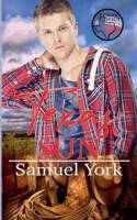 Texas Sun (Texas Soul) B0F2H42Y6G Book Cover