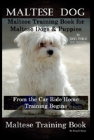 Maltese Dog, Maltese Training Book for Maltese Dogs & Puppies By D!G THIS DOG Training, From the Car Ride Home Training Begins, Maltese Training Book B083XVFD5H Book Cover