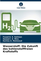 Wasserstoff: Die Zukunft des kohlenstofffreien Kraftstoffs 6204120239 Book Cover