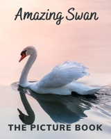 Amazing Swan: The Picture Book of Swan Great for Alzheimer's Patients and Seniors with Dementia. B08QLNSM61 Book Cover