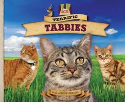 Terrific Tabbies 1617148342 Book Cover
