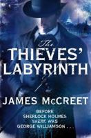 The Thieves' Labyrinth 0230747973 Book Cover
