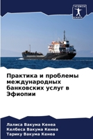Практика и проблемы межд 6205806827 Book Cover