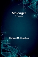 Meleager: A fantasy 9374595028 Book Cover