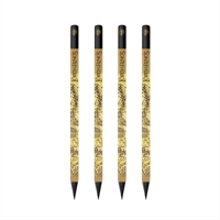 Map of Middle-Earth Pencils 4 Pack by Paperblanks (the Lord of the Rings Collection) 1408767864 Book Cover