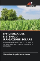 Efficienza del Sistema Di Irrigazione Solare 6205559218 Book Cover