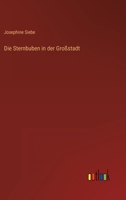 Die Sternbuben in der Großstadt 3368259970 Book Cover