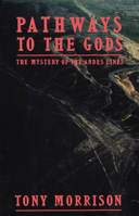Pathways to the Gods: The Mystery of the Andes Lines 0060130571 Book Cover
