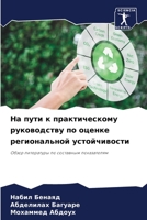 На пути к практическому руководству по оценке региональной устойчивости: Обзор литературы по составным показателям 6206139646 Book Cover