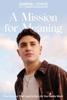 A Mission for Meaning: The Choices That Lead to the Life You Really Want 0310364221 Book Cover