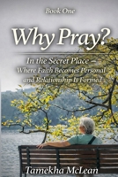 Why Pray?: In the Secret Place - Where Faith Becomes Personal (A Life Formed in Prayer) B0GKF9BWNS Book Cover