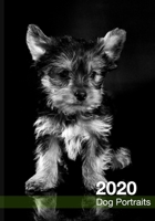 2020 Dog Calendar: Black and White Dog Portraits 1712991175 Book Cover