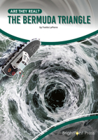 The Bermuda Triangle 1678206229 Book Cover
