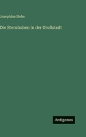 Die Sternbuben in Der Gro Stadt 9356708711 Book Cover