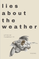 lies about the weather B0G31255SX Book Cover