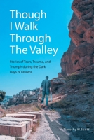 Though I Walk Through The Valley: Stories of Tears, Trauma, and Triumph during the Dark Days of Divorce B0BHBX48NL Book Cover