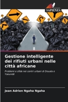 Gestione intelligente dei rifiuti urbani nelle città africane: Problemi e sfide nei centri urbani di Douala e Yaoundé 6206124509 Book Cover