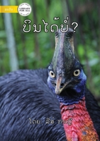 Can It Fly? ບິນໄດ້ບໍ່? 9932091359 Book Cover