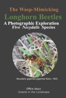 The Wasp-Mimicking Longhorn Beetles: A Photographic Exploration of Five Necydalis Species B0DRFC45QB Book Cover
