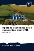 Краткое исследование о г 6203386472 Book Cover