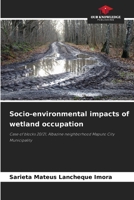 Socio-environmental impacts of wetland occupation 6209161278 Book Cover
