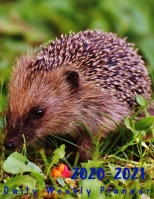 2 Year Planner 2020-2021 Daily Weekly Monthly: see it Bigger Large size Personal Appointment at a Glance Calendar Planner Spread Views 24 Months to Do ... 2020 - Dec 2021 Design Hedgehog Lover Cover 1677643587 Book Cover