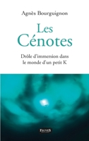 Les Cénotes: Drôle d'immersion dans le monde d'un petit K (French Edition) B08DSYSKGJ Book Cover