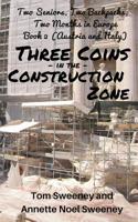 Three Coins in the Construction Zone: Two Seniors, Two Backpacks, Two Months in Europe, Book 2 (Austria and Italy) 1791833373 Book Cover