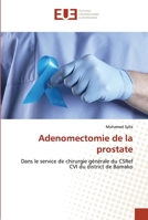 Adenomectomie de la prostate 6202535814 Book Cover