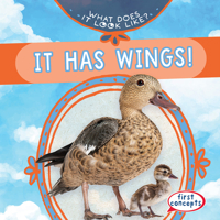 It Has Wings! 1482470977 Book Cover