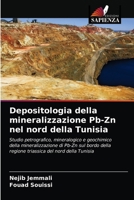 Depositologia della mineralizzazione Pb-Zn nel nord della Tunisia 6203378224 Book Cover